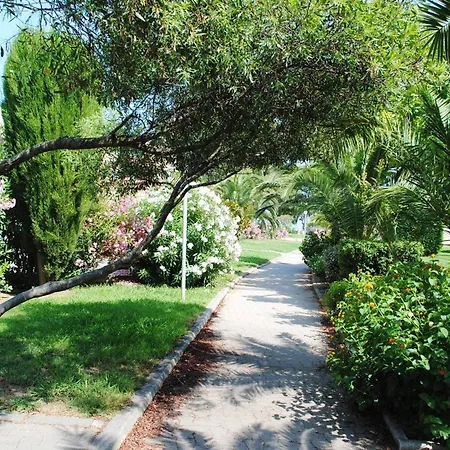 Avec Terrasse A Bormes-les-mimosas - Fr-1-251-874 アパート *